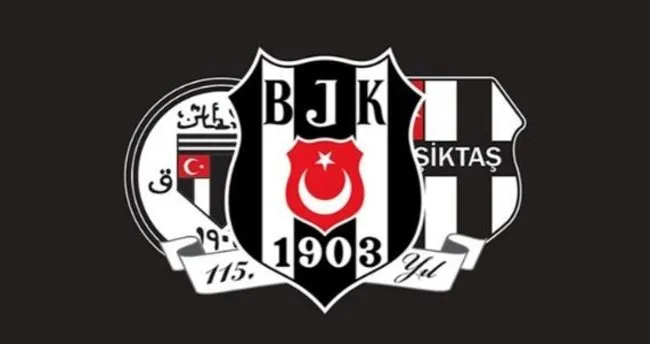 Besiktas Tan Ankaragucu Maci Icin Bilet Aciklamasi Spor Haberleri
