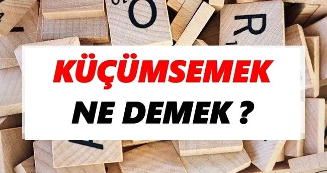 Küçümsemek Ne Demek? TDK’ya Göre Küçümsemek Sözlük Anlamı Nedir?