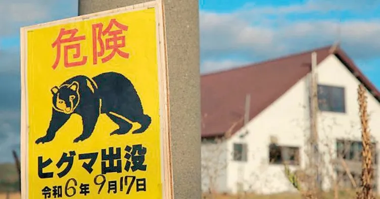 Japonya’da ayı seferberliği