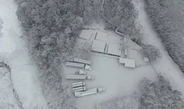 Hawaii’de lavlar 117 evi yok etti