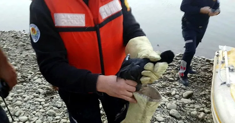 Adana’da ayağı misinaya dolanan ördek kurtarıldı