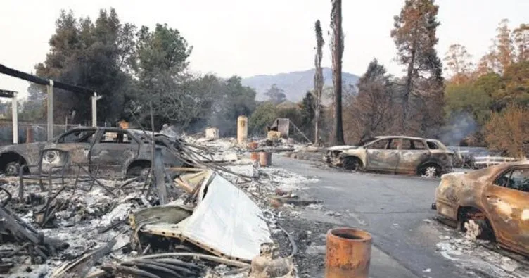 Kaliforniya’da orman yangını: 15 ölü