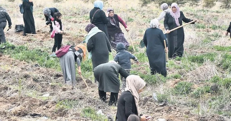 Bozkırda gurur veren tablo