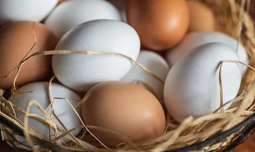 Mutfağınızdaki en büyük hata! Yumurtaları asla böyle yerleştirmeyin