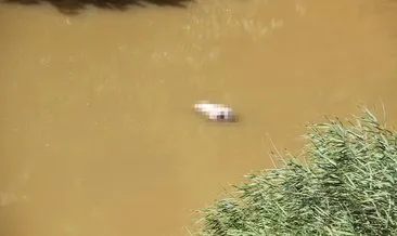 Günlerdir suda olduğu düşünülüyor! Gediz Nehri’nde erkek cesedi bulundu