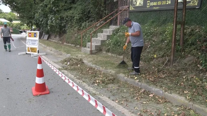 beykozda-otlar-metrelerce-uzadi-o-yollar-ibbnin-sorumlulugundaydi-1784809125393.jpg