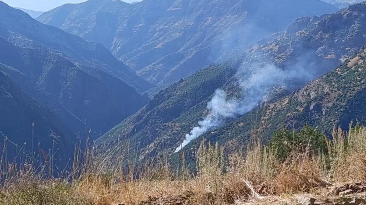 Munzur Vadisi Milli Parkı’nda orman yangını! Ekiplerin müdahalesi sürüyor Munzur Vadisi Milli Parkı’nda orman yangını! Ekiplerin müdahalesi sürüyor