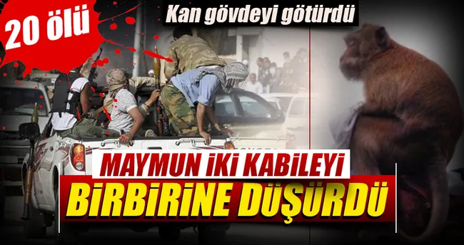 Maymun kavgasında 20 kişi öldü