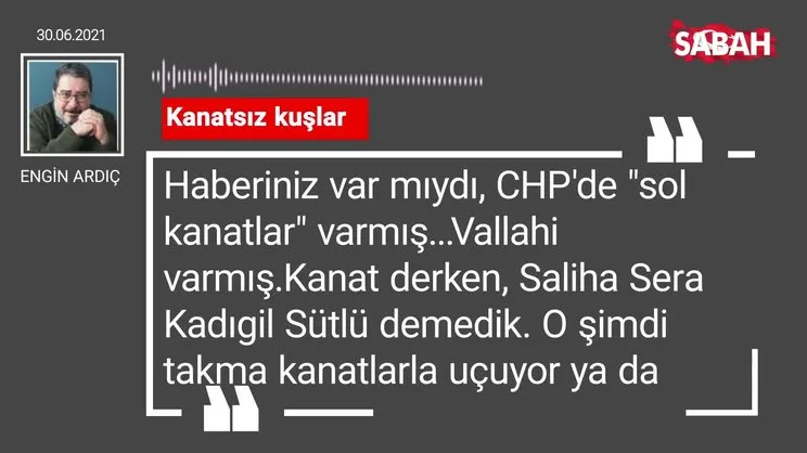 Engin Ardıç | Kanatsız kuşlar