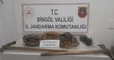 Bingöl'de 8 kilogram 250 gram yasadışı salep soğanı ele geçirdi #bingol