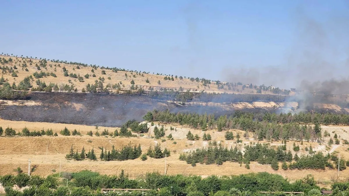 Şanlıurfa GAP Vadisi'nde çıkan orman yangınından genel görünüm.