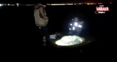 Van’da kaçak avlanan 150 kilo inci kefali ele geçirildi | Video
