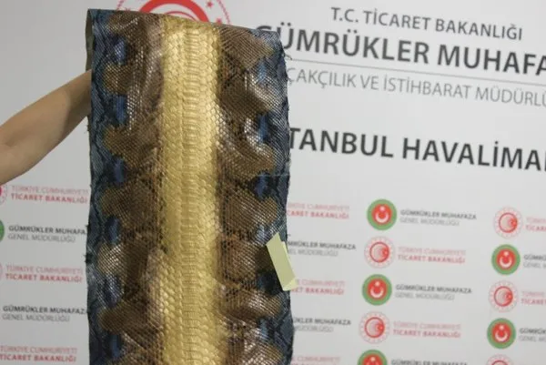 İstanbul Havalimanı'nda ele geçirilen yılan derilerinin değeri 320 bin TL