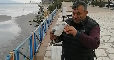 Antalya'da balıkçının oltasına martı takıldı #antalya