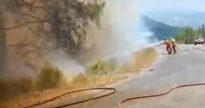 Alanya’da orman yangını #antalya