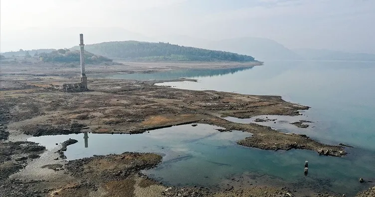 MHP’li Vekil Kalyoncu’dan ürperten iddia
