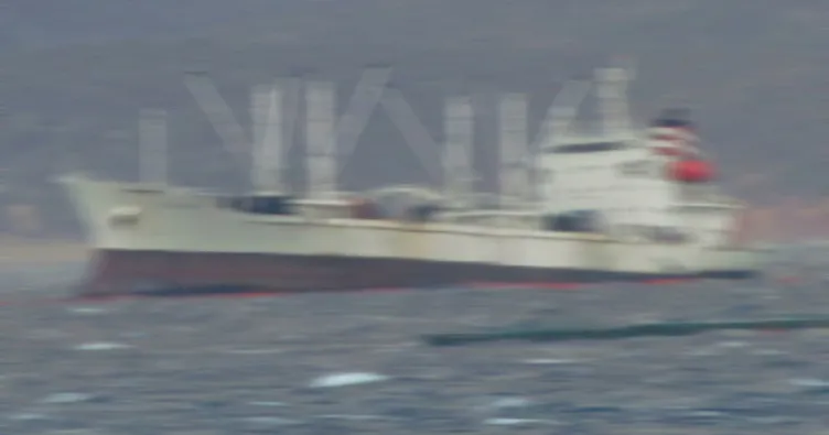 Kuru yük gemisi plajda karaya oturdu