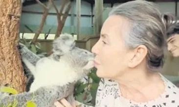 Koala sevgisi
