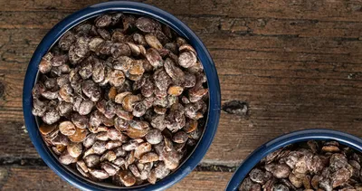 Kan değerlerinizi hiç olmadığı kadar iyileştirecek: Kansızlığı tek seferde bitiren demir deposu besin!