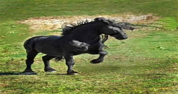 sabah