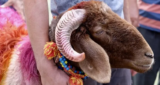 adet kanı içen erkek nasıl olur big cock gloryhole