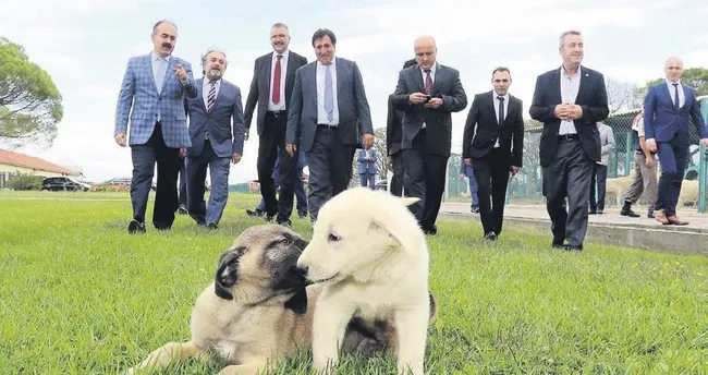 Vali Küçük’ten ilçelere çıkarma
