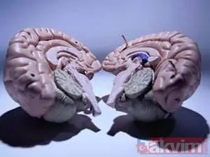 O kahin bildiği olaylarla dünyaca ünlenmişti... Korkutucu kehanetleri ortaya çıktı!