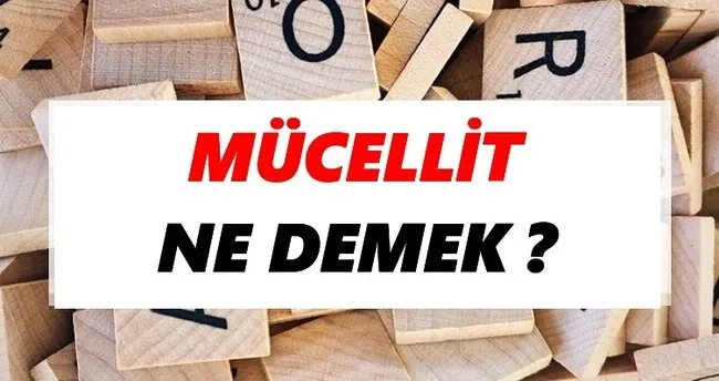 Mücellit Ne Demek? TDK’ya Göre Mücellit Sözlük Anlamı Nedir?