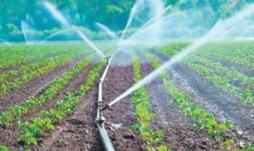 Çiftçilere pancar sulama avansı ödendi