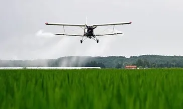 Alaska’da küçük uçak suya çakıldı! 4 ölü