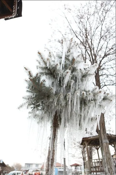 Ağaç ve kameriyelerde buz sarkıtları oluştu