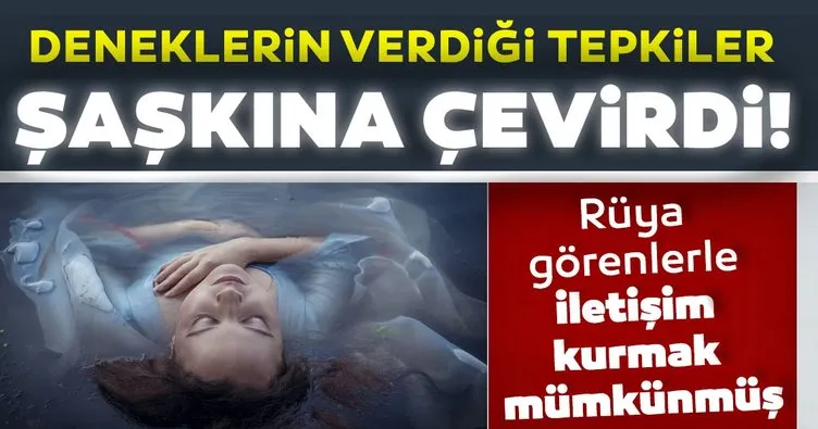 Rüya görenlerle iletişim kurmak mümkünmüş! Deneklerin verdiği tepkiler şaşkına çevirdi