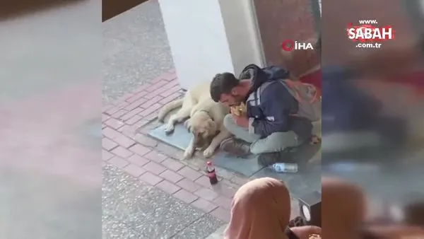 Yemeğini sokak köpeği ile paylaştı, o anlar sosyal medyada viral oldu | Video