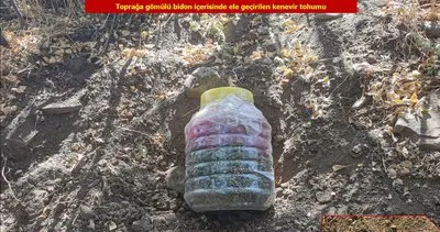 Lice’de PKK’ya ağır darbe