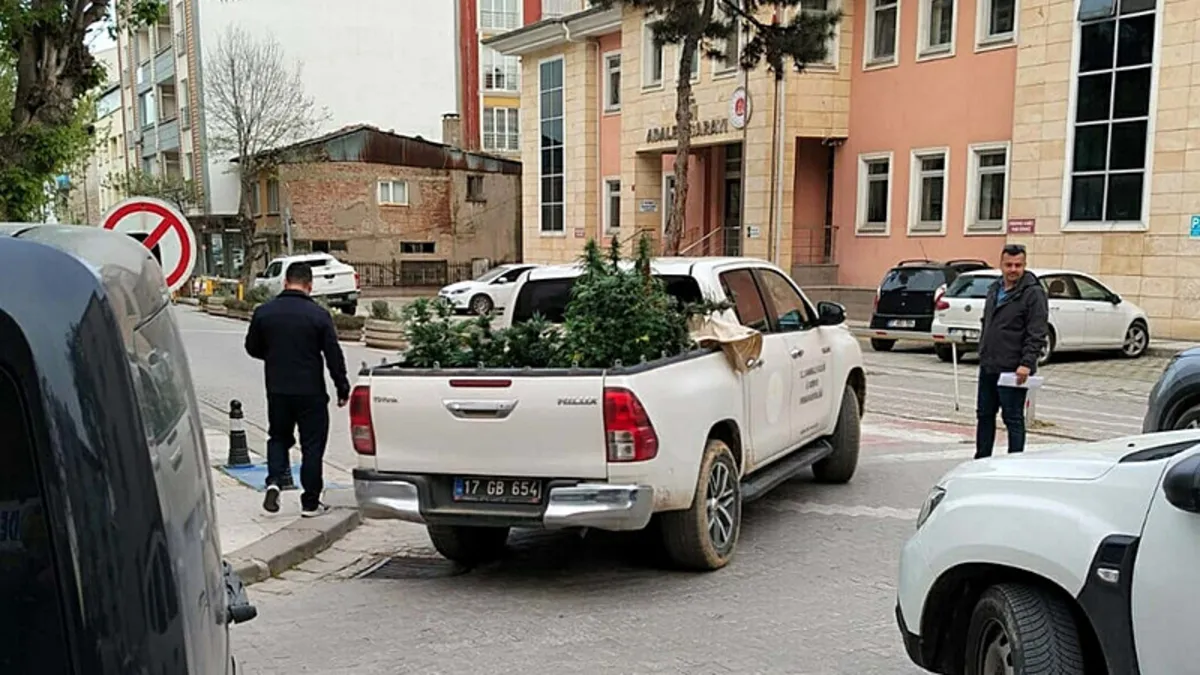 Dairesinde uyuşturucu yetiştiren şüpheli yakalandı! Dairesinde uyuşturucu yetiştiren şüpheli yakalandı!