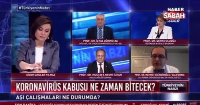 ABD’de yaşayan Türk profesörden canlı yayında Türkiye’nin sağlık sistemini beğenmeyenlere tokat gibi sözler... | Video