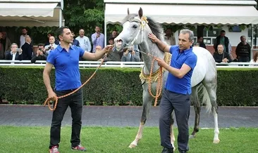 Pistlerin en güzeli: Haliç