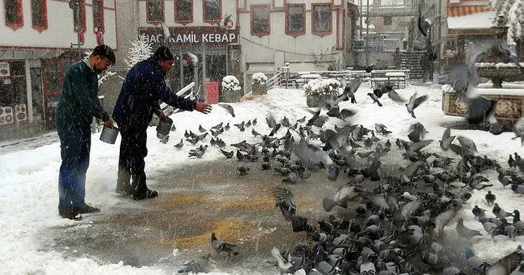 Yozgat’ta çarşı esnafından kuşlara yem