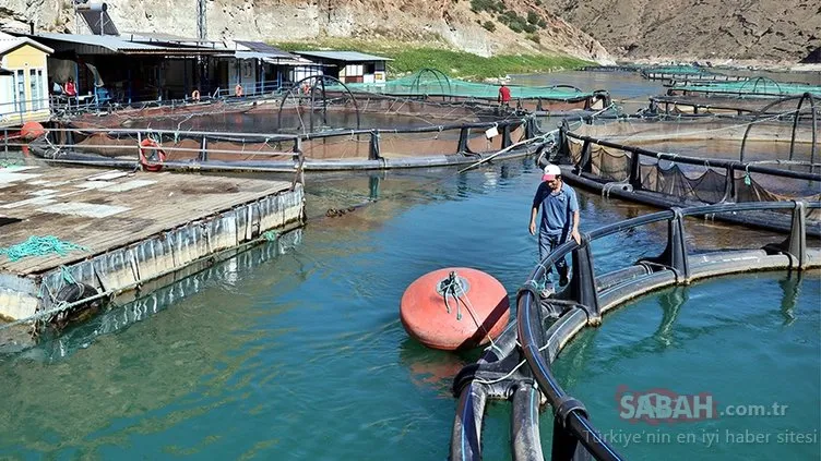 Son dakika: Çevre ve Şehircilik Bakanlığından flaş karar! Yasak getirildi...