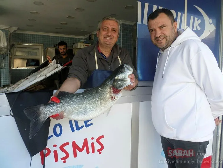 Marmara denizinde yakalanan kılıç balığı altın fiyatına satıldı