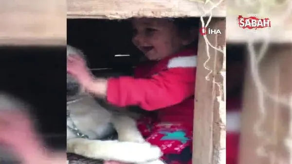 Erzurum’da küçük çocuğun köpek sevgisi görenleri gülümsetti | Video