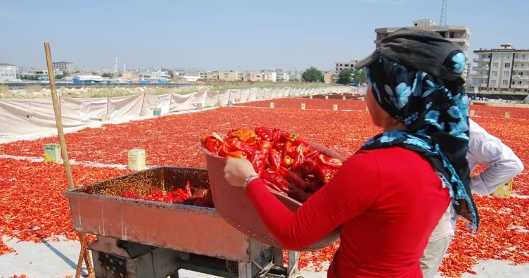 Şanlıurfa’da İSOT müzesi açılacak