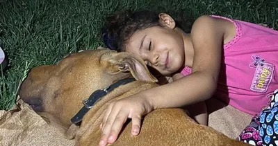 Son dakika: Gaziantep’te pitbull saldırısına uğrayan Asiye Ateş’ten haber var: Tepki veriyor...