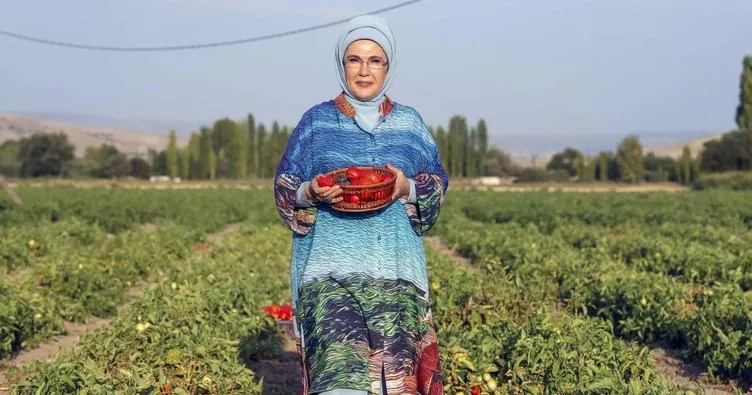 Türkiye, ‘ata tohumu’na yöneldi