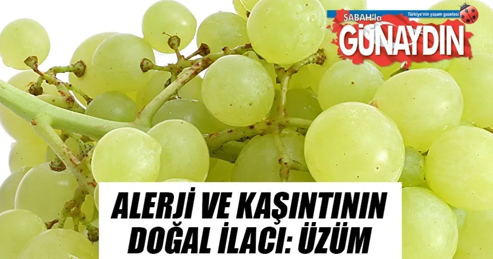terlemeye papatya goze iyi geliyor