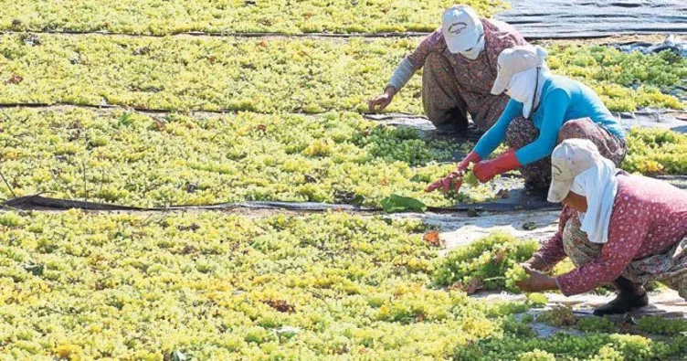 Sındırgı’dan tarım atağı