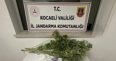 İzmit’te uyuşturucu baskını: 2 gözaltı