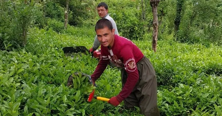 Çaykur sezonu 740 bin ton ile kapattı