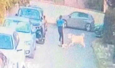 Şehrin göbeğinde kangal dehşeti #istanbul