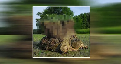 Günün ilginç kareleri